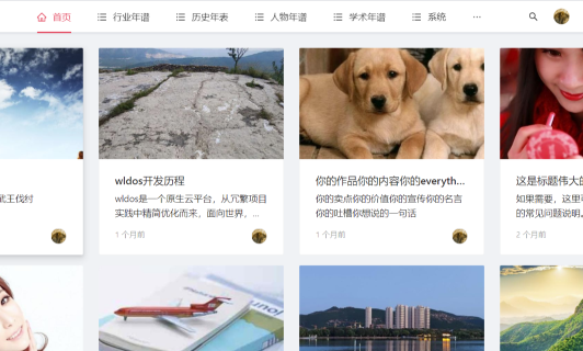  Java语言开发的SaaS版前后端分离开发平台WLDOS